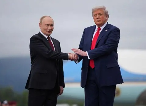 Хорошие новости для водителей: Путин запретил множить штрафы за ОСАГО