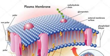 Membrantyg - vad är det: sammansättning, egenskaper, fördelar och nackdelar Vad är membran